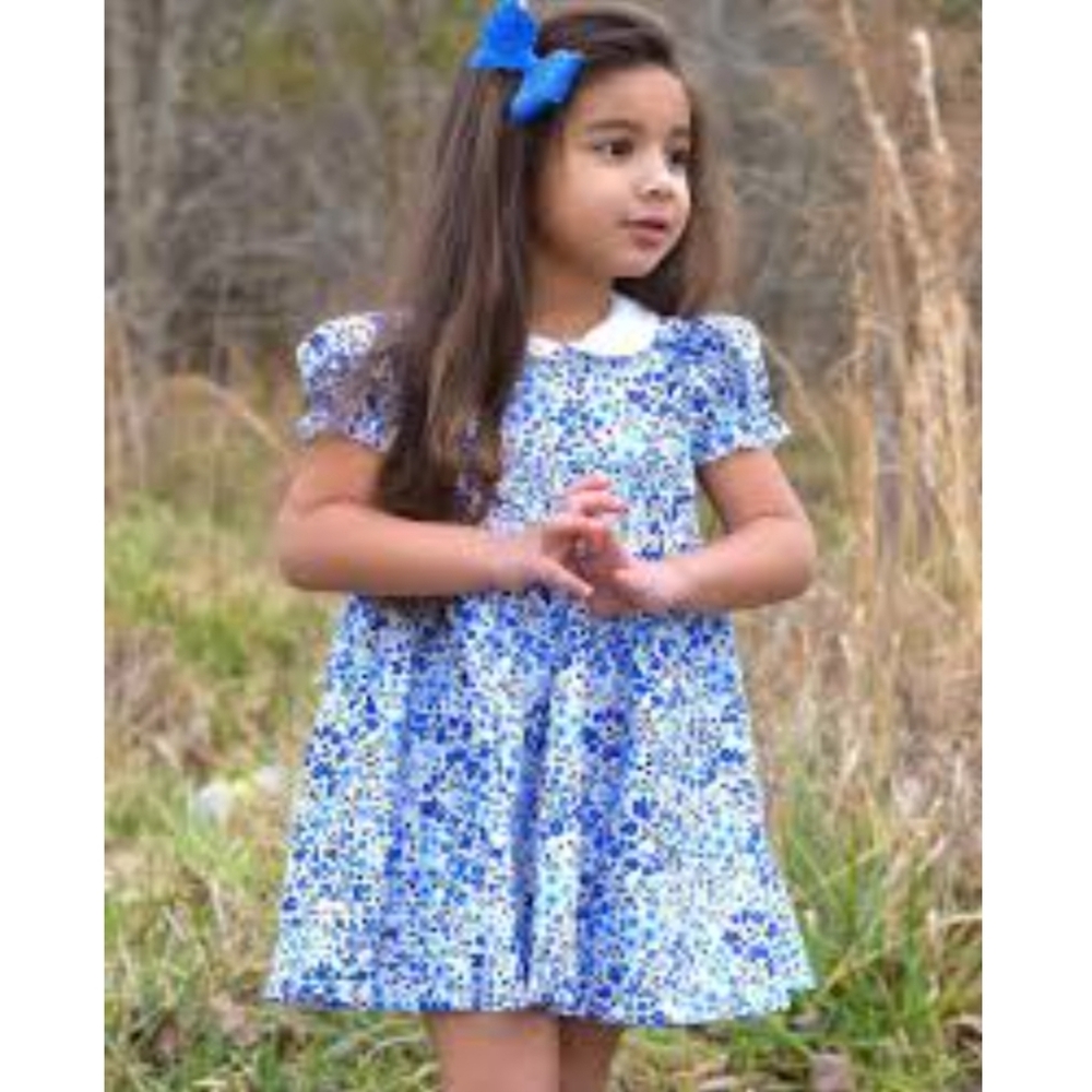 NWOT DANDELION DREAMS Girls Blue Floral Dress